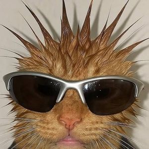 awandi
