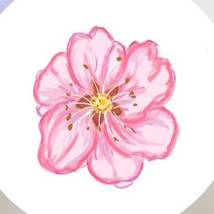 chosenbybelle