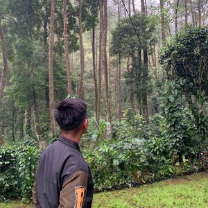Nizam Fairuz