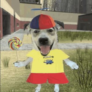Adoptmepleek