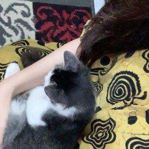 Fadillah Rahma Fauziah