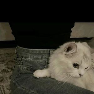 nann
