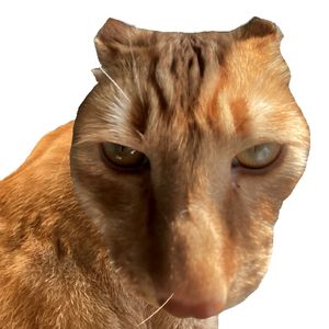 Fani