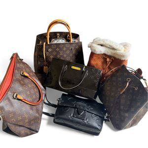 Reins Collections