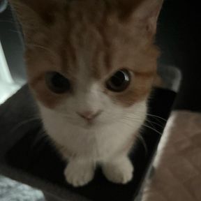 lenaaa