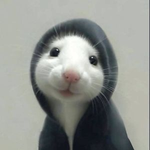 jamal