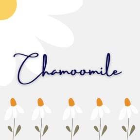 Chamoomile
