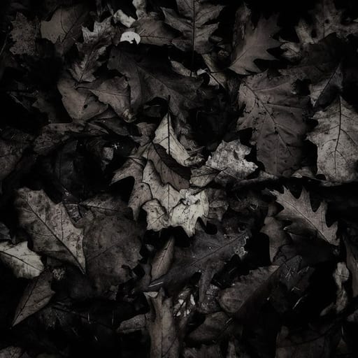 Darkchive