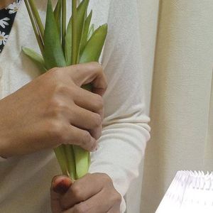 bukan barang bekas