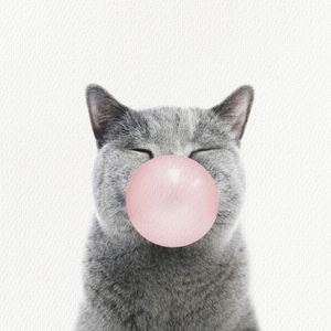 miawgenic