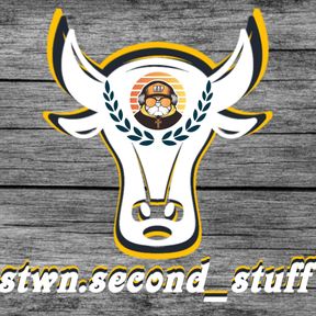 stwn.second_stuff