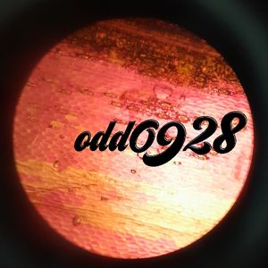 odd0928