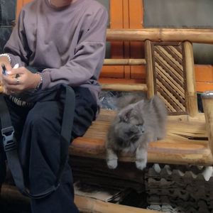 Fakhri Danishtyo