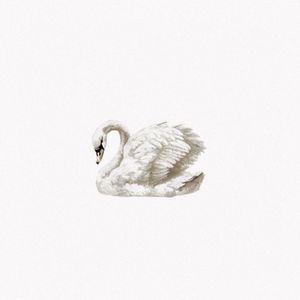 myrandompreloved