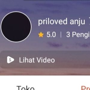 priloved anju