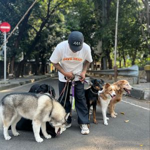 DOG WALKER