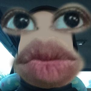 nadinoerr