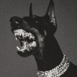 nesz61x