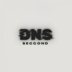 dns seccond