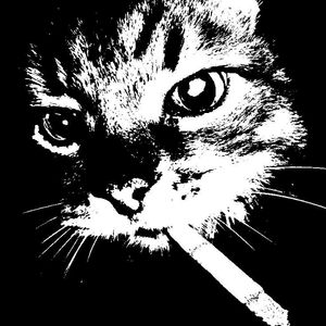 ssss