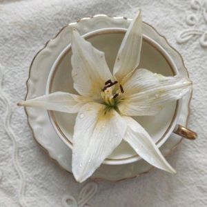 fleurdelunar