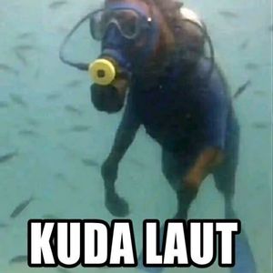 Arel