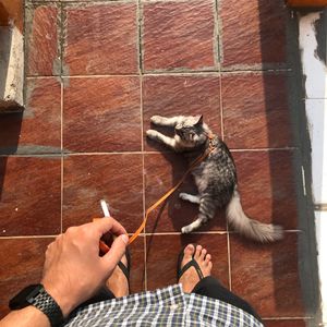 Anang fredy