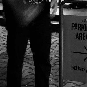 articmonkeys