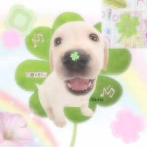 darliine 🍎🍀