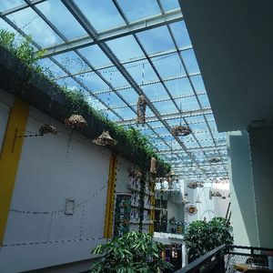 oszxzyy