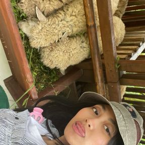 Ivana cantiq