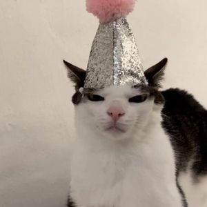 ELPrelovedgy