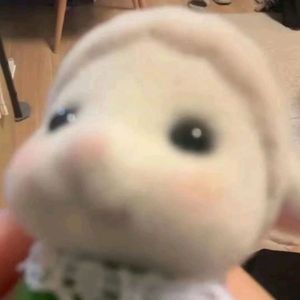 Aavey