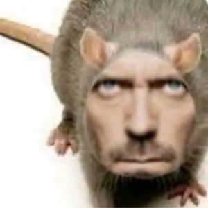 pahlevii