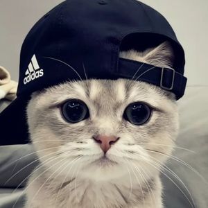 Chacha
