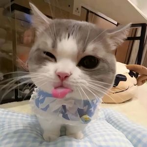 Bubu