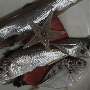 MekarKedua