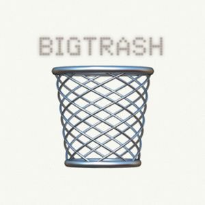 bigtrash
