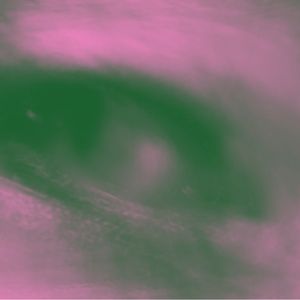 toktok archive