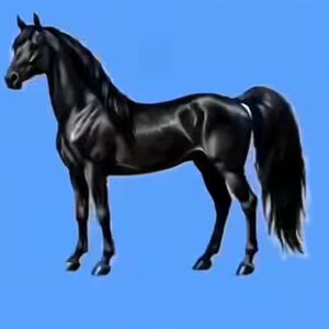 andalanlily