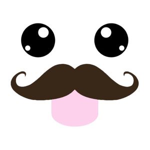 bijak