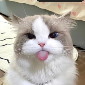 santiiagustin
