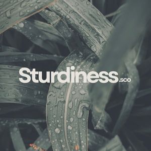 Sturdiness Sco