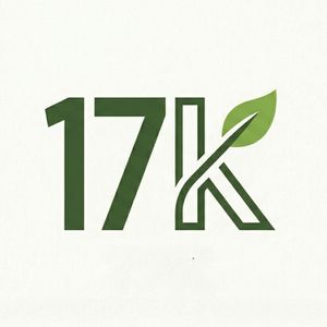 K17 Preloved