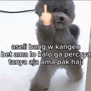 babukikam
