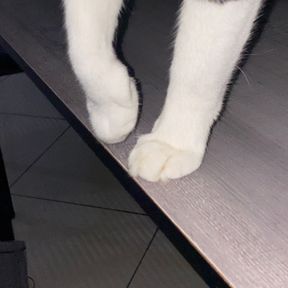 lulu winarto