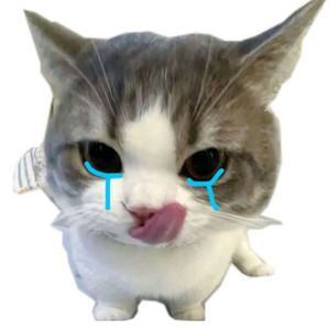 cipopoci