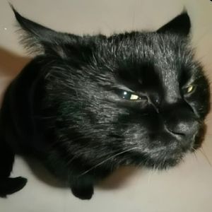 be