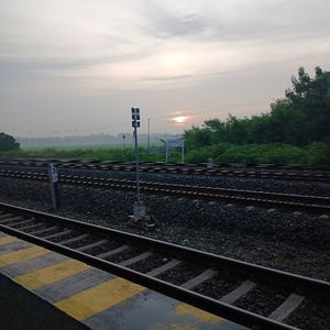 Peti