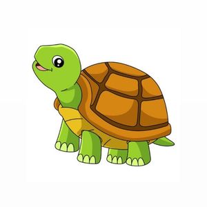 Ini Turtle